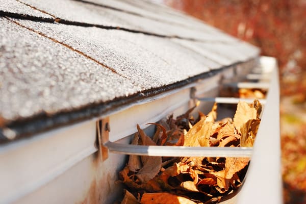 Eavestrough full of leaves