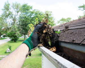 Eavestrough cleaning