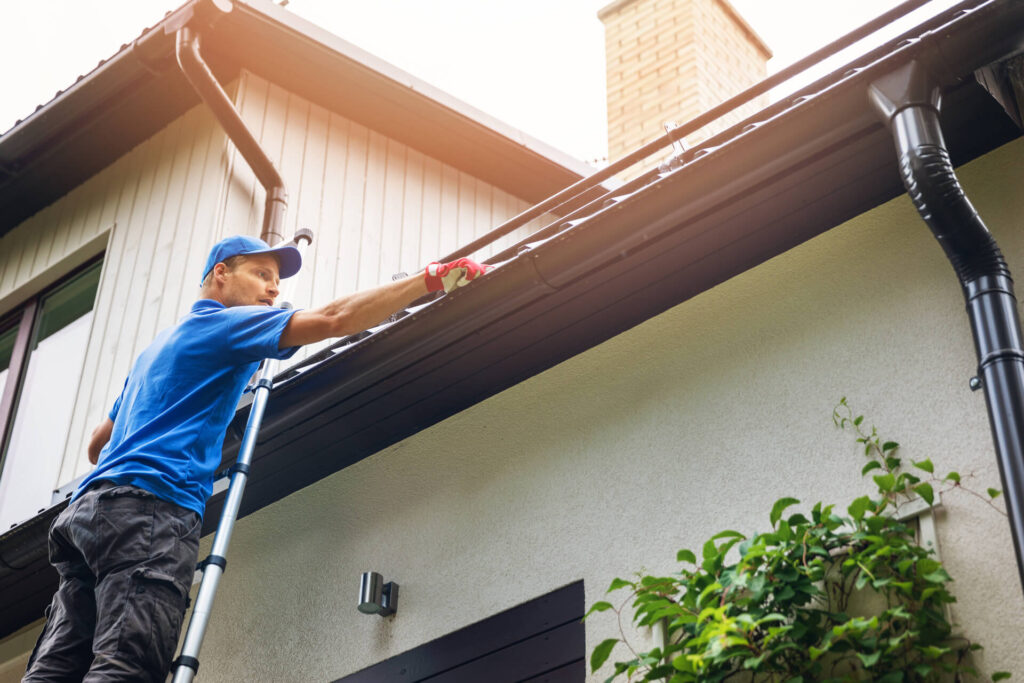 professional-gutter-cleaning-service