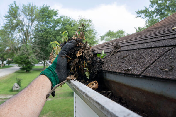 roof-and-gutter-cleaning-service